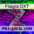 Filagra DXT 15